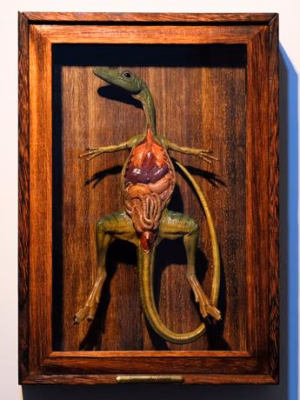 Rebor Oddities Compsognathus longipes Preserved Dissection Specimen Licensed Resin Statue