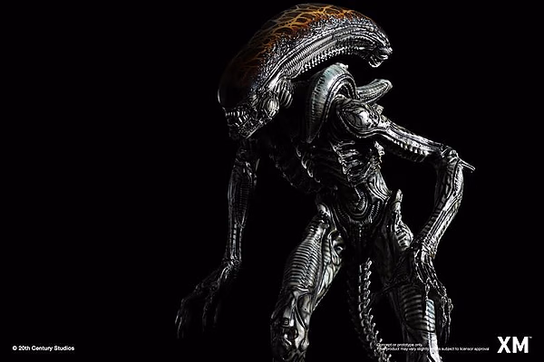 Alien XM Studio Hive Warrior – Bild 4
