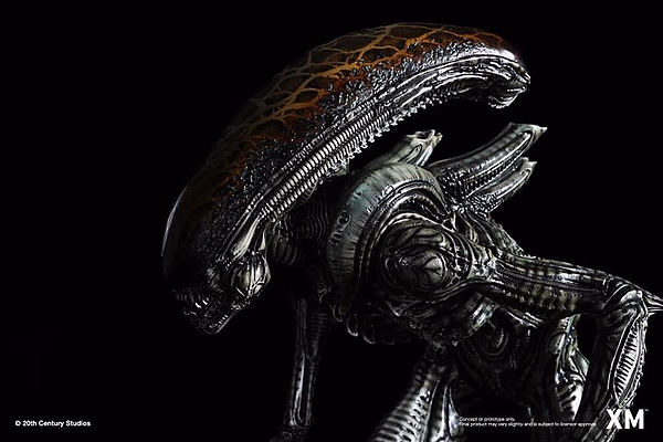 Alien XM Studio Hive Warrior – Bild 5
