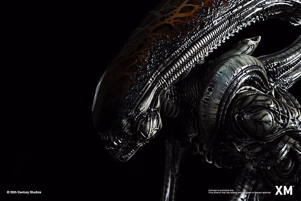Alien XM Studio Hive Warrior – Bild 6